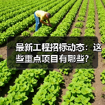 最新工程招标动态:这些重点项目有哪些?(图1) 最新工程招标动态:这些重点项目有哪些?(图1)