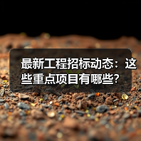 最新工程招标动态:这些重点项目有哪些?(图4) 最新工程招标动态:这些重点项目有哪些?(图4)