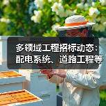 多领域工程招标动态：配电系统、道路工程等项目招标公告（图2）