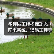 多领域工程招标动态：配电系统、道路工程等项目招标公告（图4）