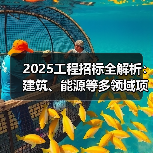 2025工程招标全解析：建筑、能源等多领域项目深度解读（图2）