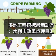 多地工程招标最新动态：水利市政重点项目汇总（图1）