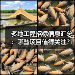 多地工程招标信息汇总：哪些项目值得关注？（图1）