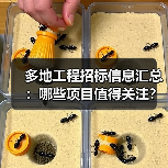 多地工程招标信息汇总：哪些项目值得关注？（图3）