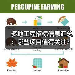 多地工程招标信息汇总：哪些项目值得关注？（图4）