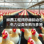 陕西工程招标最新动态：电力设备采购与多领域项目一览（图3）