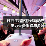 陕西工程招标最新动态：电力设备采购与多领域项目一览（图4）
