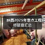 陕西2025年重点工程招标项目汇总（图2）