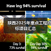陕西2025年重点工程招标项目汇总（图3）