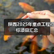 陕西2025年重点工程招标项目汇总（图4）