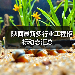 陕西最新多行业工程招标动态汇总（图1）