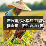 浐灞雨污水接驳工程投标需知：资质要求+流程详解（图2）