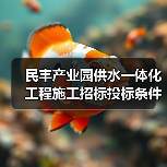 民丰产业园供水一体化工程施工招标投标条件详解（图3）