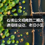 石嘴山文明南路二期改造招标启动，老旧小区升级计划揭晓！（图3）
