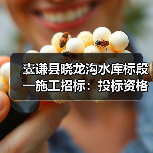 囊谦县晓龙沟水库标段一施工招标：投标资格与工程内容详解（图1）