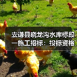 囊谦县晓龙沟水库标段一施工招标：投标资格与工程内容详解（图2）