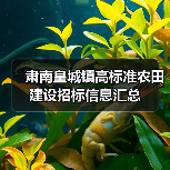 肃南皇城镇高标准农田建设招标信息汇总（图1）
