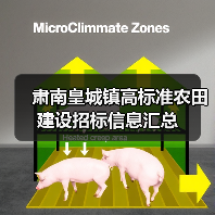 肃南皇城镇高标准农田建设招标信息汇总（图4）