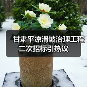 甘肃平凉滑坡治理工程二次招标引热议（图2）