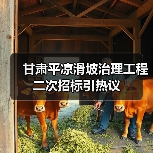 甘肃平凉滑坡治理工程二次招标引热议（图1）