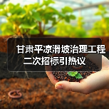 甘肃平凉滑坡治理工程二次招标引热议（图4）