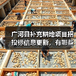广河县补充耕地项目招投标信息更新，有哪些关键细节？（图1）