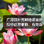 广河县补充耕地项目招投标信息更新，有哪些关键细节？（图3）
