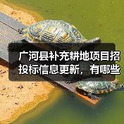 广河县补充耕地项目招投标信息更新，有哪些关键细节？（图4）