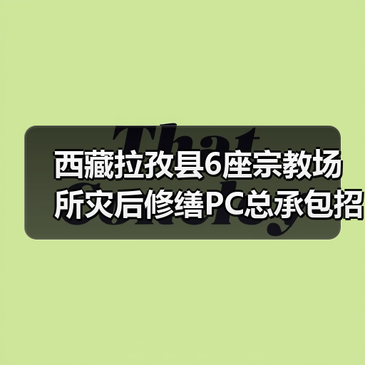 西藏拉孜县6座宗教场所灾后修缮PC总承包招标开启（图2）
