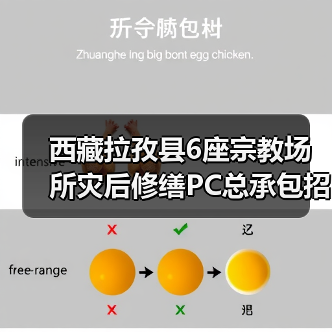 西藏拉孜县6座宗教场所灾后修缮PC总承包招标开启（图1）
