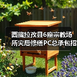 西藏拉孜县6座宗教场所灾后修缮PC总承包招标开启（图3）