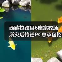 西藏拉孜县6座宗教场所灾后修缮PC总承包招标开启（图4）