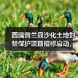 西藏普兰县沙化土地封禁保护项目招标启动，覆盖1万公顷（图1）