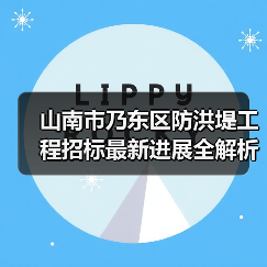 山南市乃东区防洪堤工程招标最新进展全解析（图1）