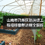 山南市乃东区防洪堤工程招标最新进展全解析（图2）