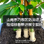 山南市乃东区防洪堤工程招标最新进展全解析（图4）
