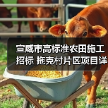 宣威市高标准农田施工招标 拖克村片区项目详情及投标要求（图2）