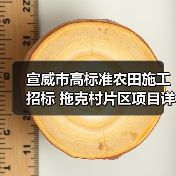 宣威市高标准农田施工招标 拖克村片区项目详情及投标要求（图3）