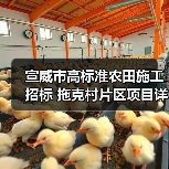宣威市高标准农田施工招标 拖克村片区项目详情及投标要求（图4）