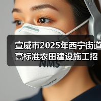 宣威市2025年西宁街道高标准农田建设施工招标公告（图1）
