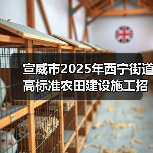 宣威市2025年西宁街道高标准农田建设施工招标公告（图2）