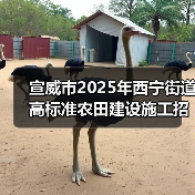 宣威市2025年西宁街道高标准农田建设施工招标公告（图3）