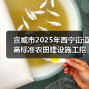 宣威市2025年西宁街道高标准农田建设施工招标公告（图4）