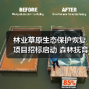 林业草原生态保护恢复项目招标启动 森林抚育修复工程最新动态（图3）