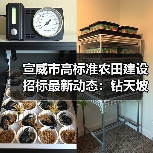 宣威市高标准农田建设招标最新动态：钻天坡片区项目启动（图3）