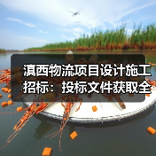 滇西物流项目设计施工招标：投标文件获取全攻略（图4）