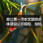 怒江第一湾农文旅综合体项目公开招标，投标流程全解析（图2）