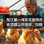 怒江第一湾农文旅综合体项目公开招标，投标流程全解析（图4）