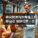 彝良骑龙沟水库施工招标启动 招标信息一览（图2）