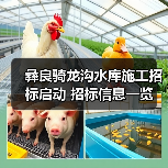 彝良骑龙沟水库施工招标启动 招标信息一览（图1）